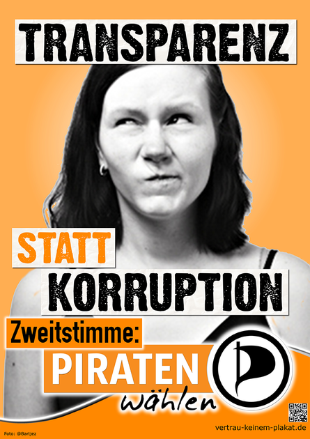 Piratenpartei-Plakat-2013-Entwurf 3.png