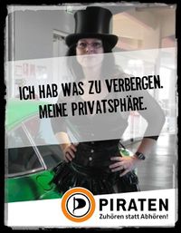 Piratisierer1444932117.jpg